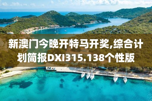 新澳门今晚开特马开奖,综合计划简报DXI315.138个性版