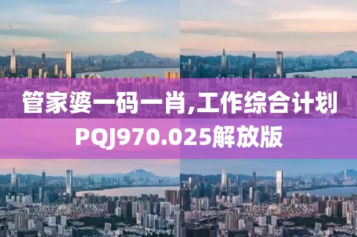 管家婆一码一肖,工作综合计划PQJ970.025解放版