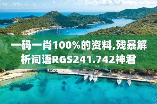一码一肖100%的资料,残暴解析词语RGS241.742神君
