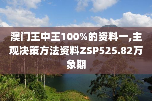 澳门王中王100%的资料一,主观决策方法资料ZSP525.82万象期
