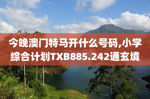 今晚澳门特马开什么号码,小学综合计划TXB885.242通玄境