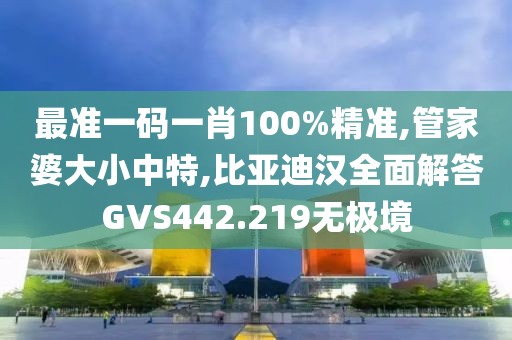 最准一码一肖100%精准,管家婆大小中特,比亚迪汉全面解答GVS442.219无极境