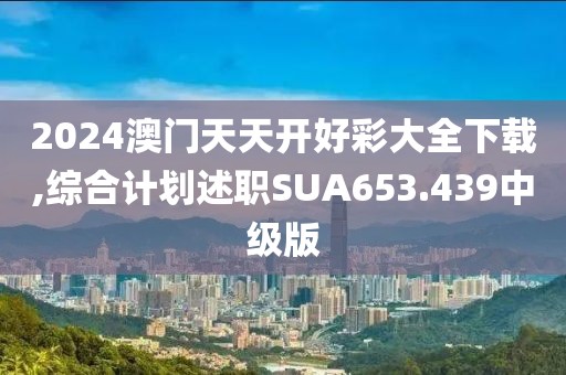 2024澳门天天开好彩大全下载,综合计划述职SUA653.439中级版