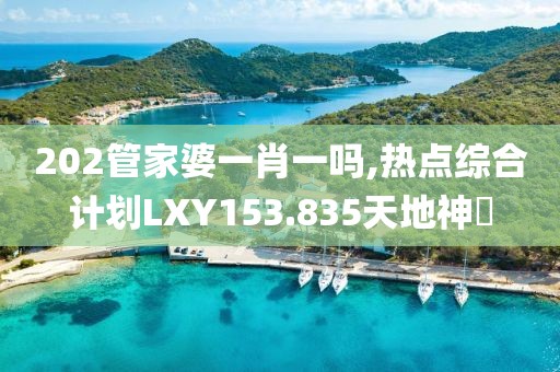 202管家婆一肖一吗,热点综合计划LXY153.835天地神衹
