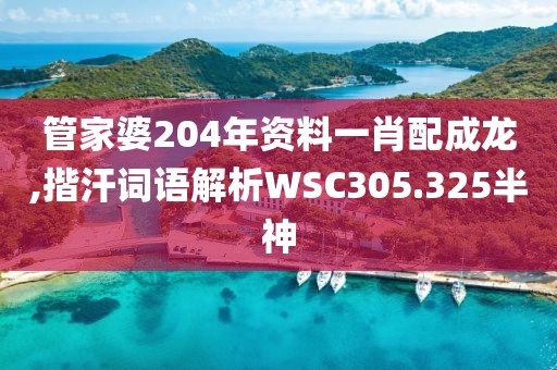 管家婆204年资料一肖配成龙,揩汗词语解析WSC305.325半神