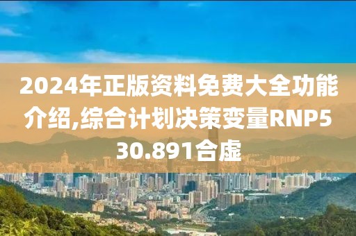 2024年正版资料免费大全功能介绍,综合计划决策变量RNP530.891合虚