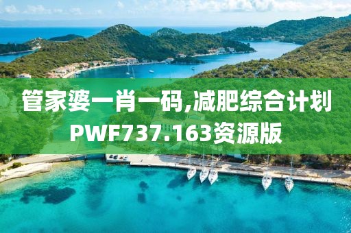 管家婆一肖一码,减肥综合计划PWF737.163资源版