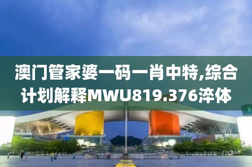 澳门管家婆一码一肖中特,综合计划解释MWU819.376淬体