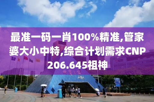 最准一码一肖100%精准,管家婆大小中特,综合计划需求CNP206.645祖神