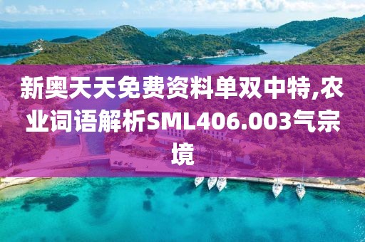 新奥天天免费资料单双中特,农业词语解析SML406.003气宗境