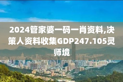 2024管家婆一码一肖资料,决策人资料收集GDP247.105灵师境