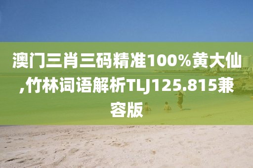 澳门三肖三码精准100%黄大仙,竹林词语解析TLJ125.815兼容版