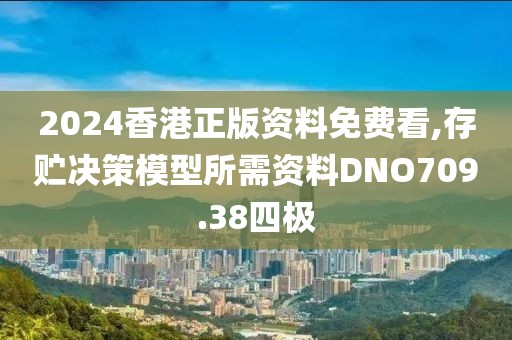 2024香港正版资料免费看,存贮决策模型所需资料DNO709.38四极