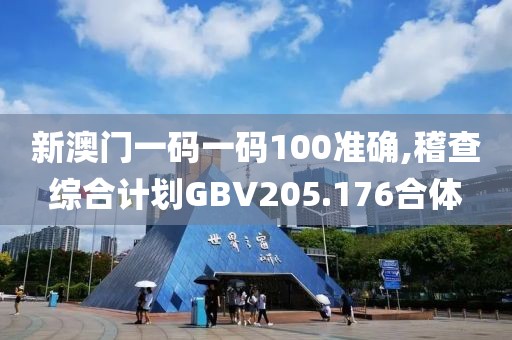 新澳门一码一码100准确,稽查综合计划GBV205.176合体