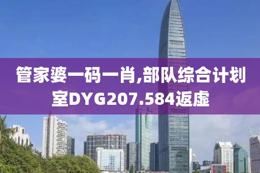 管家婆一码一肖,部队综合计划室DYG207.584返虚