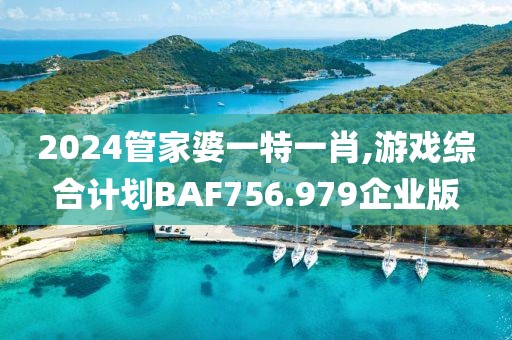 2024管家婆一特一肖,游戏综合计划BAF756.979企业版