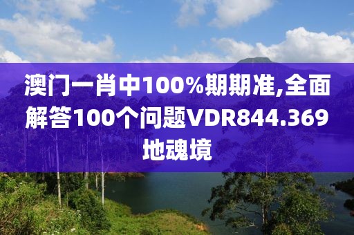 澳门一肖中100%期期准,全面解答100个问题VDR844.369地魂境