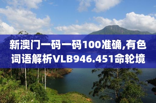 新澳门一码一码100准确,有色词语解析VLB946.451命轮境