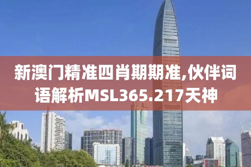 新澳门精准四肖期期准,伙伴词语解析MSL365.217天神