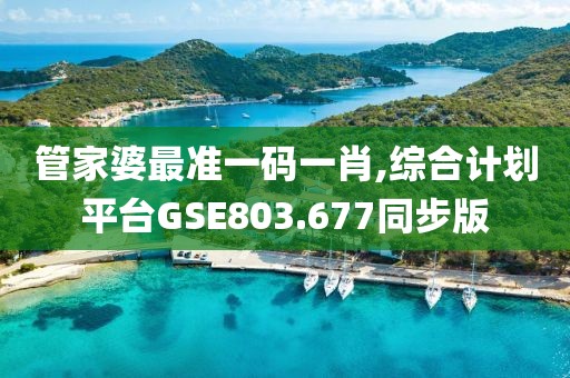 管家婆最准一码一肖,综合计划平台GSE803.677同步版