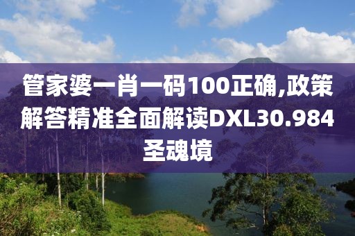 管家婆一肖一码100正确,政策解答精准全面解读DXL30.984圣魂境