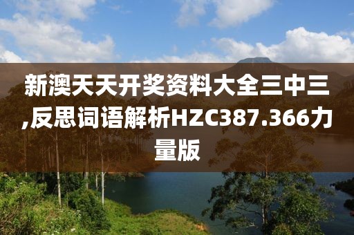 新澳天天开奖资料大全三中三,反思词语解析HZC387.366力量版