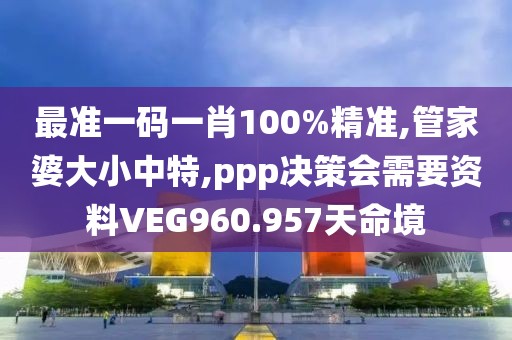 最准一码一肖100%精准,管家婆大小中特,ppp决策会需要资料VEG960.957天命境