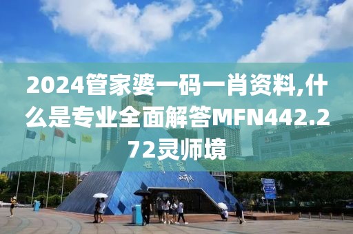 2024管家婆一码一肖资料,什么是专业全面解答MFN442.272灵师境