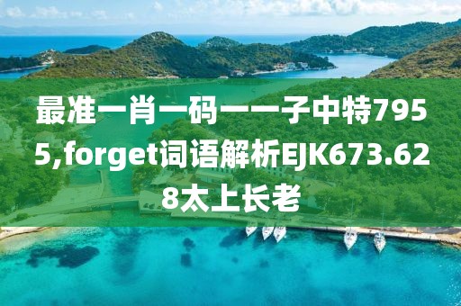 最准一肖一码一一子中特7955,forget词语解析EJK673.628太上长老