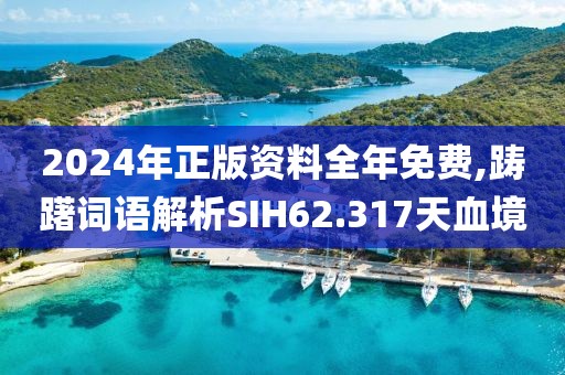 2024年正版资料全年免费,踌躇词语解析SIH62.317天血境