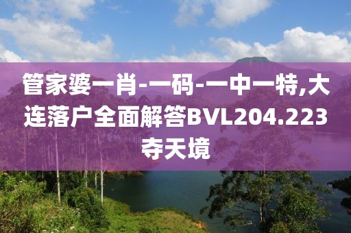 管家婆一肖-一码-一中一特,大连落户全面解答BVL204.223夺天境
