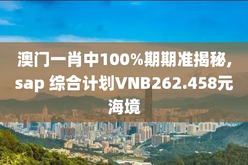 澳门一肖中100%期期准揭秘,sap 综合计划VNB262.458元海境