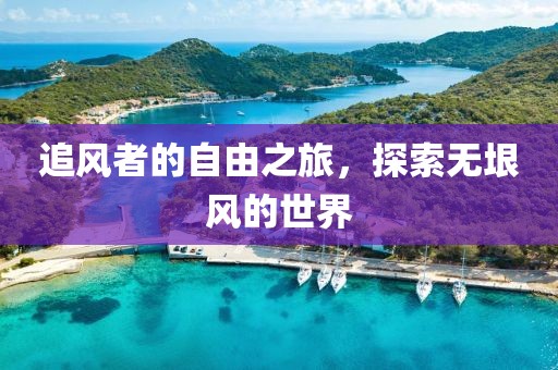 追风者的自由之旅，探索无垠风的世界