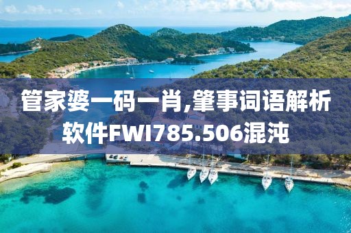 管家婆一码一肖,肇事词语解析软件FWI785.506混沌