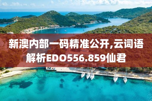 新澳内部一码精准公开,云词语解析EDO556.859仙君