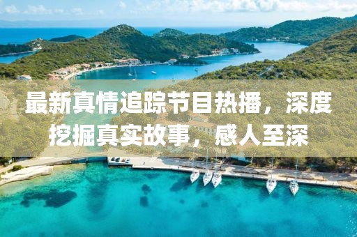 最新真情追踪节目热播，深度挖掘真实故事，感人至深