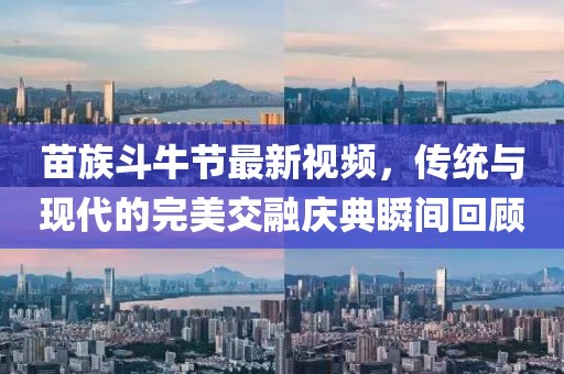 苗族斗牛节最新视频，传统与现代的完美交融庆典瞬间回顾