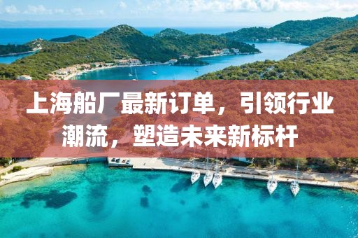 上海船厂最新订单，引领行业潮流，塑造未来新标杆