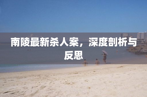 南陵最新杀人案，深度剖析与反思
