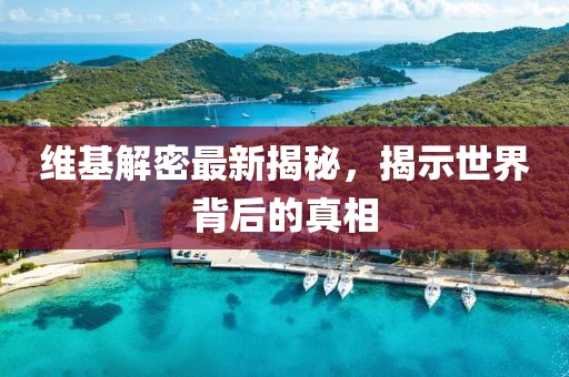 维基解密最新揭秘，揭示世界背后的真相