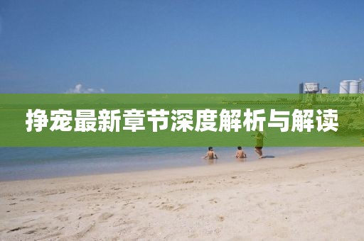 挣宠最新章节深度解析与解读