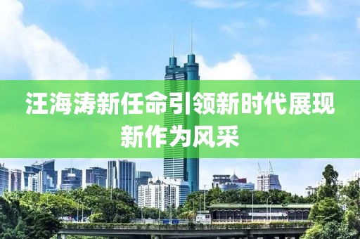 汪海涛新任命引领新时代展现新作为风采