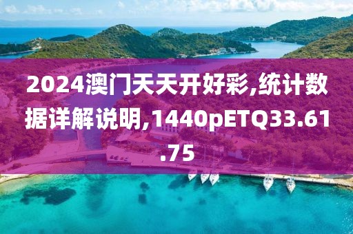 2024澳门天天开好彩,统计数据详解说明,1440pETQ33.61.75