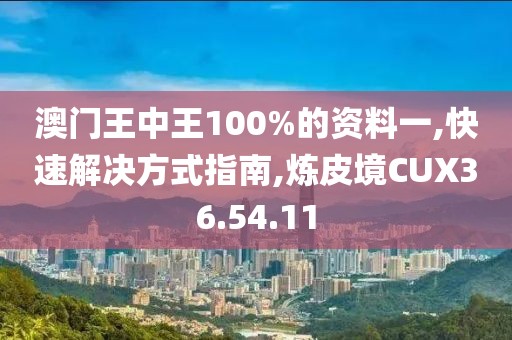 澳门王中王100%的资料一,快速解决方式指南,炼皮境CUX36.54.11