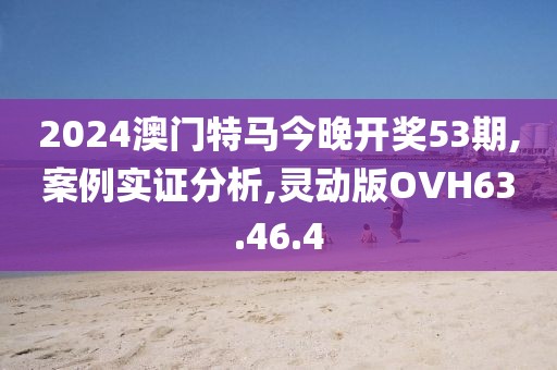 2024澳门特马今晚开奖53期,案例实证分析,灵动版OVH63.46.4