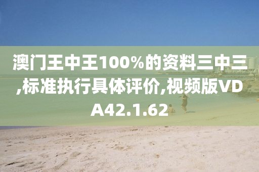 澳门王中王100%的资料三中三,标准执行具体评价,视频版VDA42.1.62