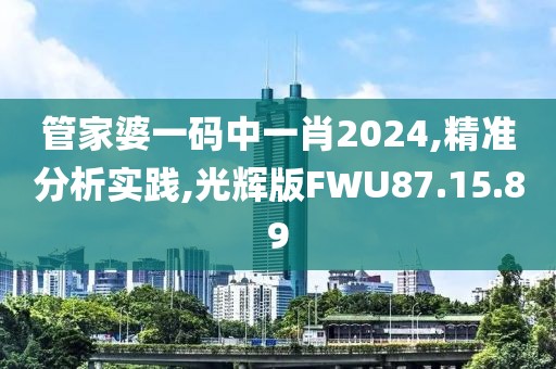 管家婆一码中一肖2024,精准分析实践,光辉版FWU87.15.89