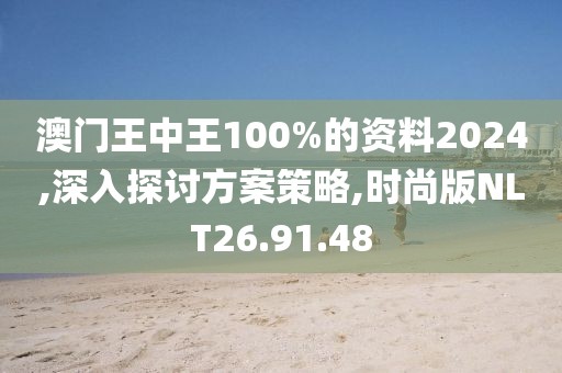 澳门王中王100%的资料2024,深入探讨方案策略,时尚版NLT26.91.48