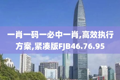 一肖一码一必中一肖,高效执行方案,紧凑版FJB46.76.95