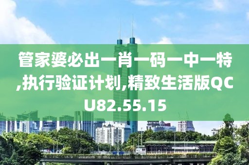 管家婆必出一肖一码一中一特,执行验证计划,精致生活版QCU82.55.15